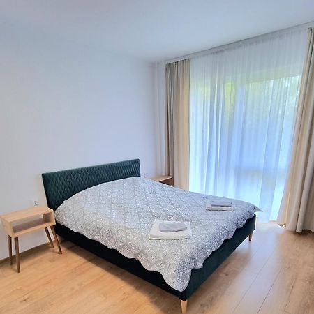 Lily Central Apartment With Free Parking Târgu-Mureş 外观 照片