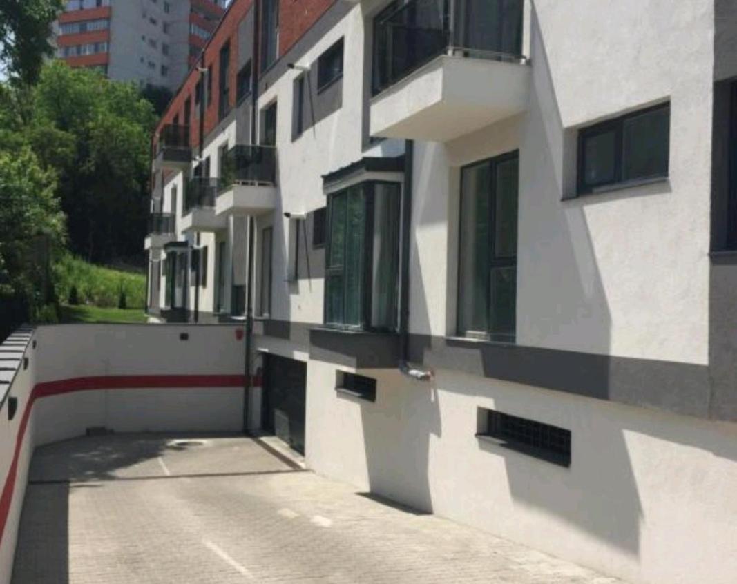 Lily Central Apartment With Free Parking Târgu-Mureş 外观 照片