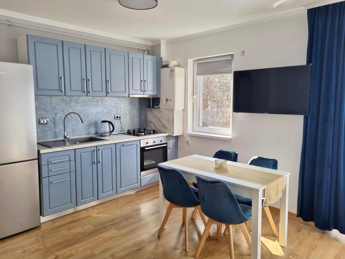 Lily Central Apartment With Free Parking Târgu-Mureş 外观 照片