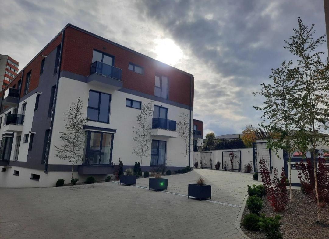 Lily Central Apartment With Free Parking Târgu-Mureş 外观 照片