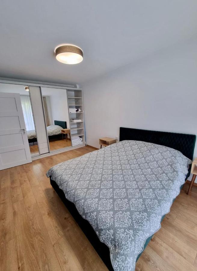 Lily Central Apartment With Free Parking Târgu-Mureş 外观 照片