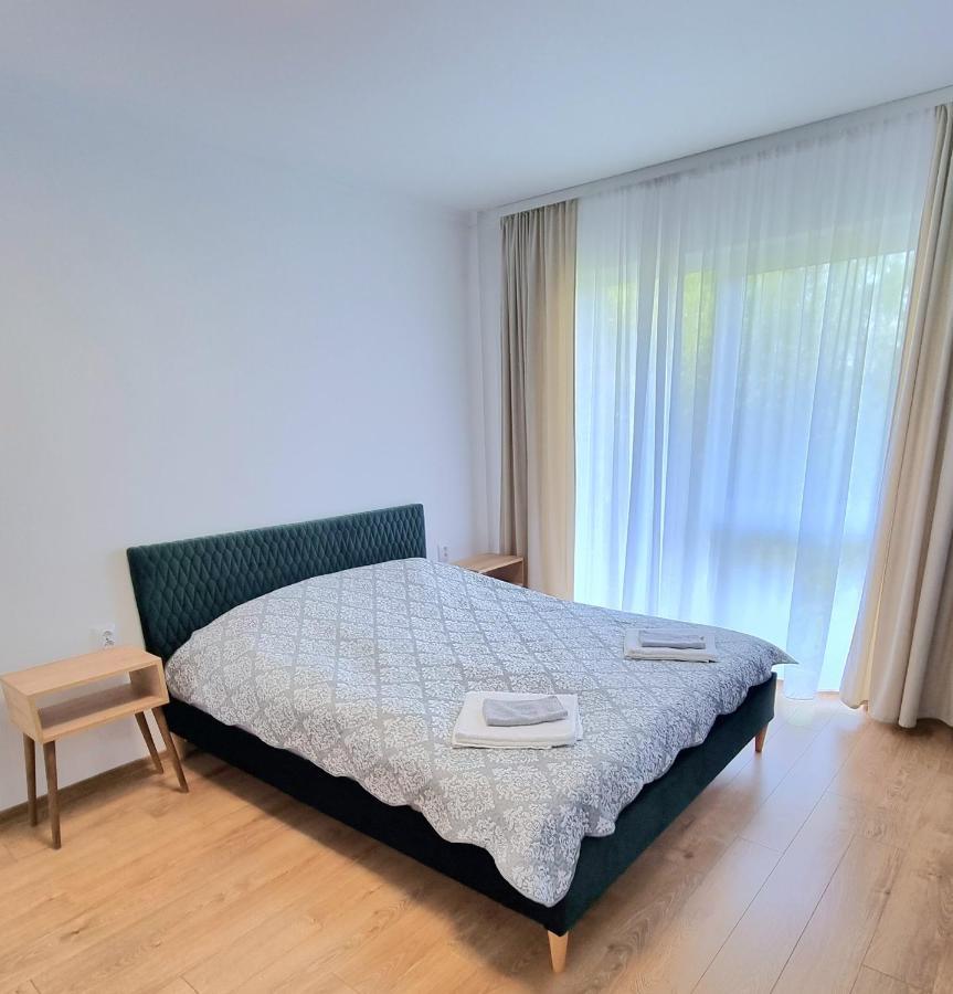 Lily Central Apartment With Free Parking Târgu-Mureş 外观 照片
